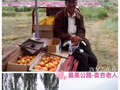 -扁都口生态休闲旅游区