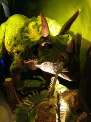 -恐龙探索乐园(磁器口店)