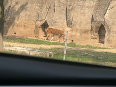 -秦皇岛野生动物园