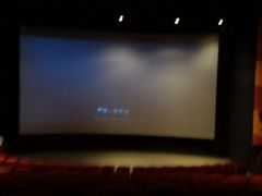 -金逸影城(武汉人信汇IMAX店)