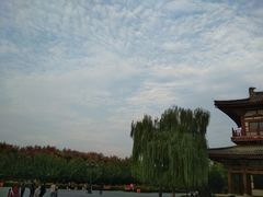 -西安青龙寺遗址景区