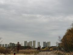 -昆山城市生态森林公园