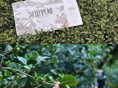 -厦门威斯汀酒店