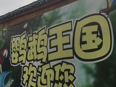-观澜山水田园