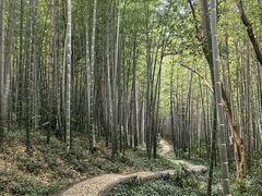 -南山风景名胜区