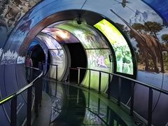 -房山世界地质公园博物馆