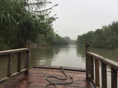 -溱湖国家湿地公园