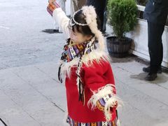 -迪庆藏族自治州博物馆