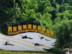-西双版纳原始森林公园