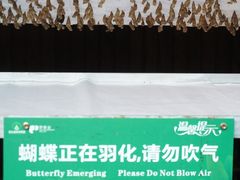 -野象谷景区