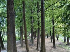 -贵阳市花溪国家城市湿地公园