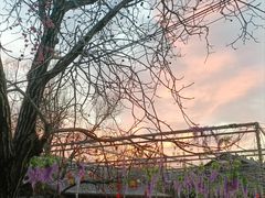 -八奇洞景区