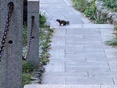 -北京凤凰岭