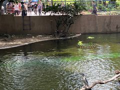 -九龙公园