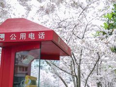 -永乐路-路侧停车场