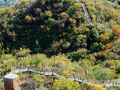 -大岭沟猕猴桃谷风景区