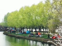 -塘沽森林公园