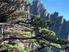 -黄山风景区