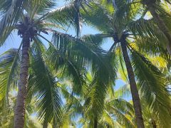 -海南槟榔谷黎苗文化旅游区
