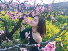 -南汇桃花村