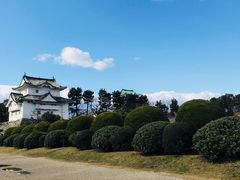 -名古屋城