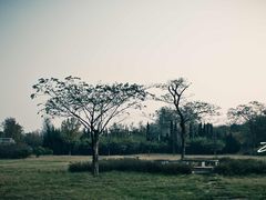 园博园-济南国际园博园