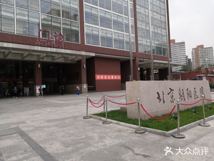 包含首都医科大学附属北京中医医院实力办事的词条
