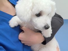 -全心全意动物诊疗中心医院(北苑店)