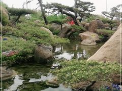 -罗红摄影艺术馆