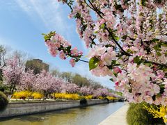 -元大都城垣遗址公园