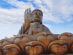 -龙口南山旅游景区