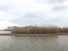 -滆湖低碳生态公园