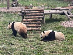 -西安秦岭野生动物园