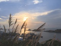 -枸杞岛