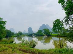 -会仙湿地