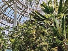 -郑州植物园