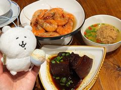 -椿不老