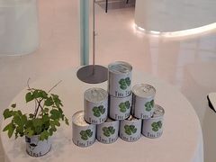 -大树餐厅(环球港店)