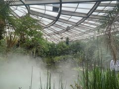 -昆明植物园