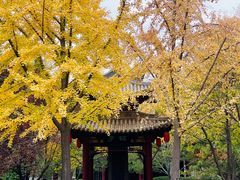 -碑林公园