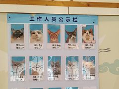 -Let's go狗咖·猫咖·奶狗·桌游(春熙路IFS店)