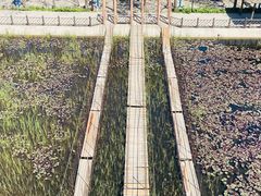 -河北村民俗体验园