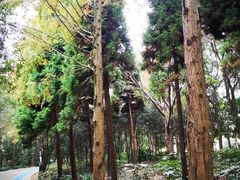 -苏州河梦清园环保主题公园