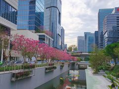 -深圳湾万象城(南山店)