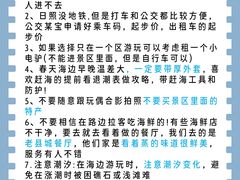 -日照灯塔风景区