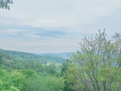 -南京市无想山景区