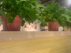 -石头咕(黄岐店)