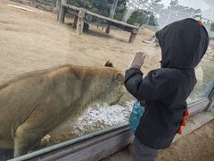 -西霞口神雕山野生动物世界