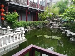 -溱湖国家湿地公园