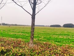 -嘉北郊野公园